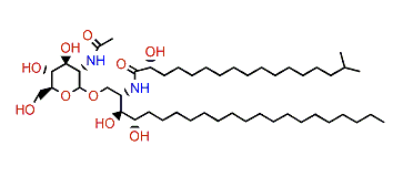 Halicylindroside B4